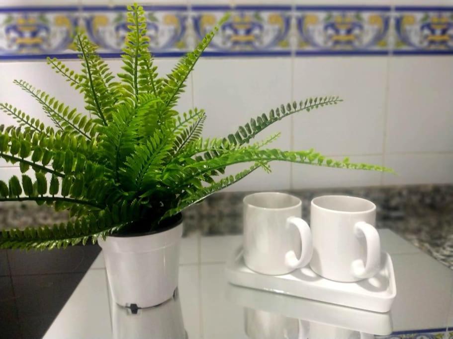 Apartamento Las Canastas Cadiz Centro Eksteriør billede