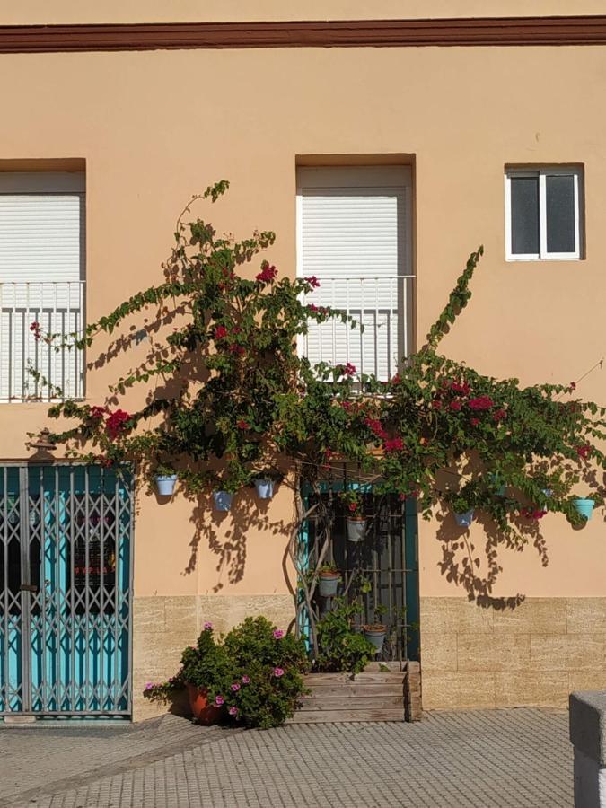 Apartamento Las Canastas Cadiz Centro Eksteriør billede